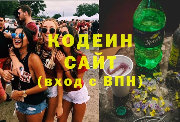 стаф Вяземский