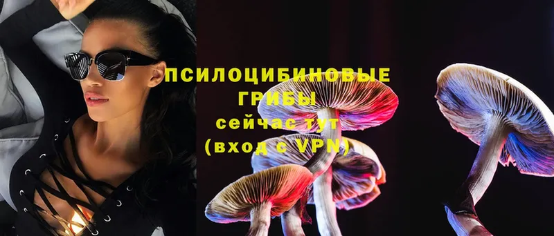 Галлюциногенные грибы Magic Shrooms  MEGA ссылки  Котельники 